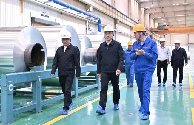 新安縣委書記王智到萬基控股集團調(diào)研